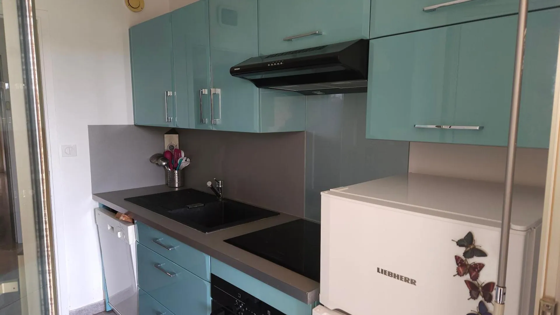 Antibes La Louisiane 2 Pieces Rez-De-Jardin Piscine Apartment